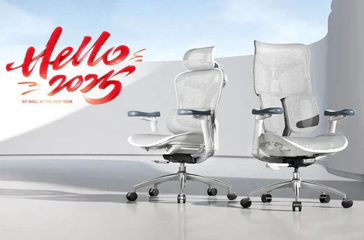 5 Conseils pour Créer Votre Havre Ergonomique en 2025