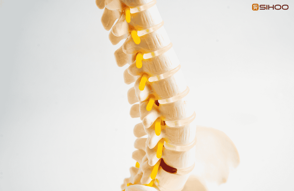 Nerf pincé à l’épaule : stop à la galère au bureau