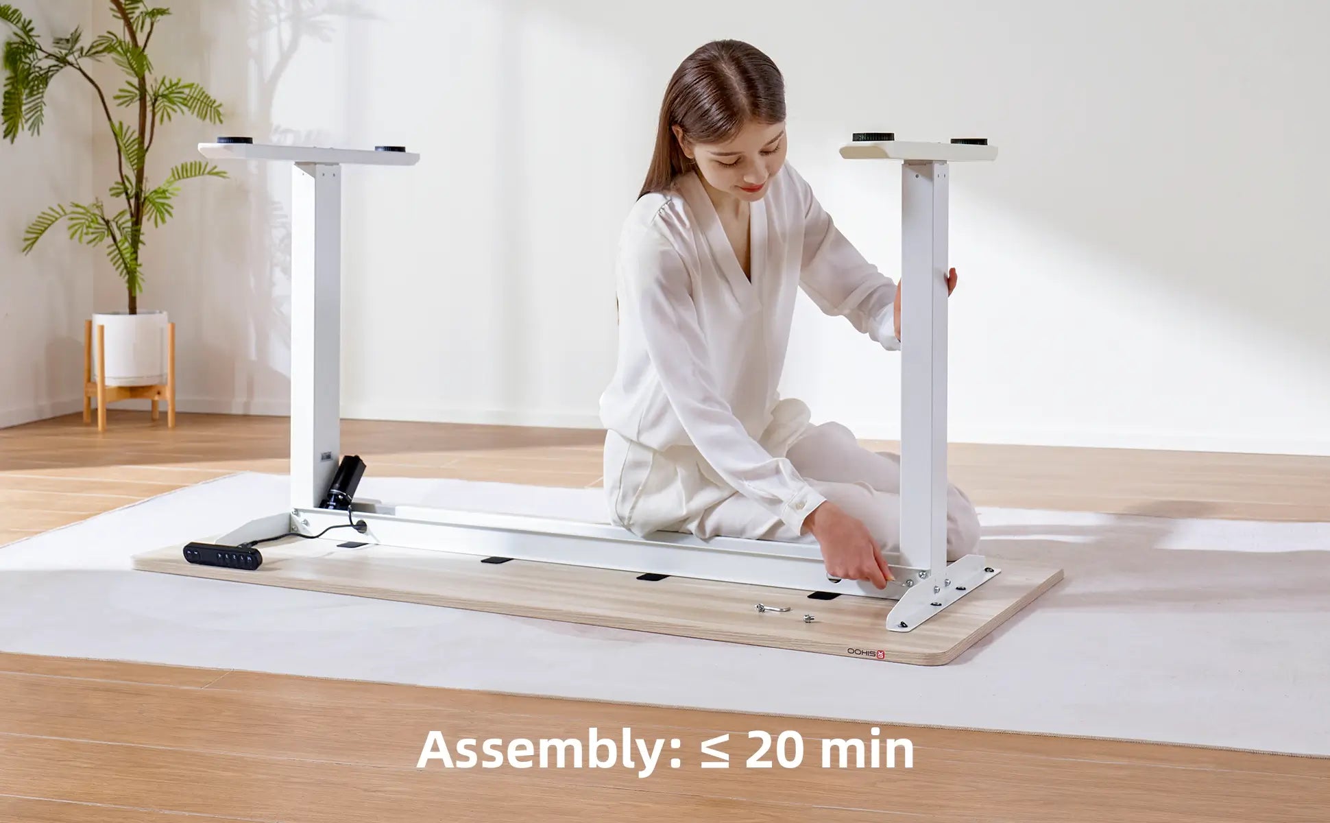 FR Sihoo Official Shop