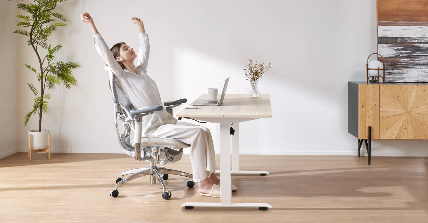 FR Sihoo Official Shop