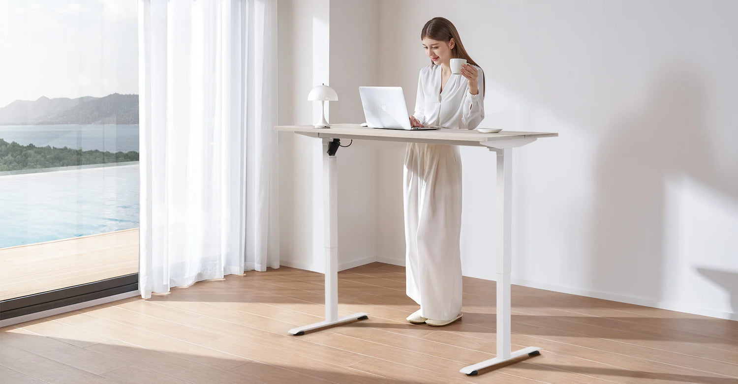 FR Sihoo Official Shop