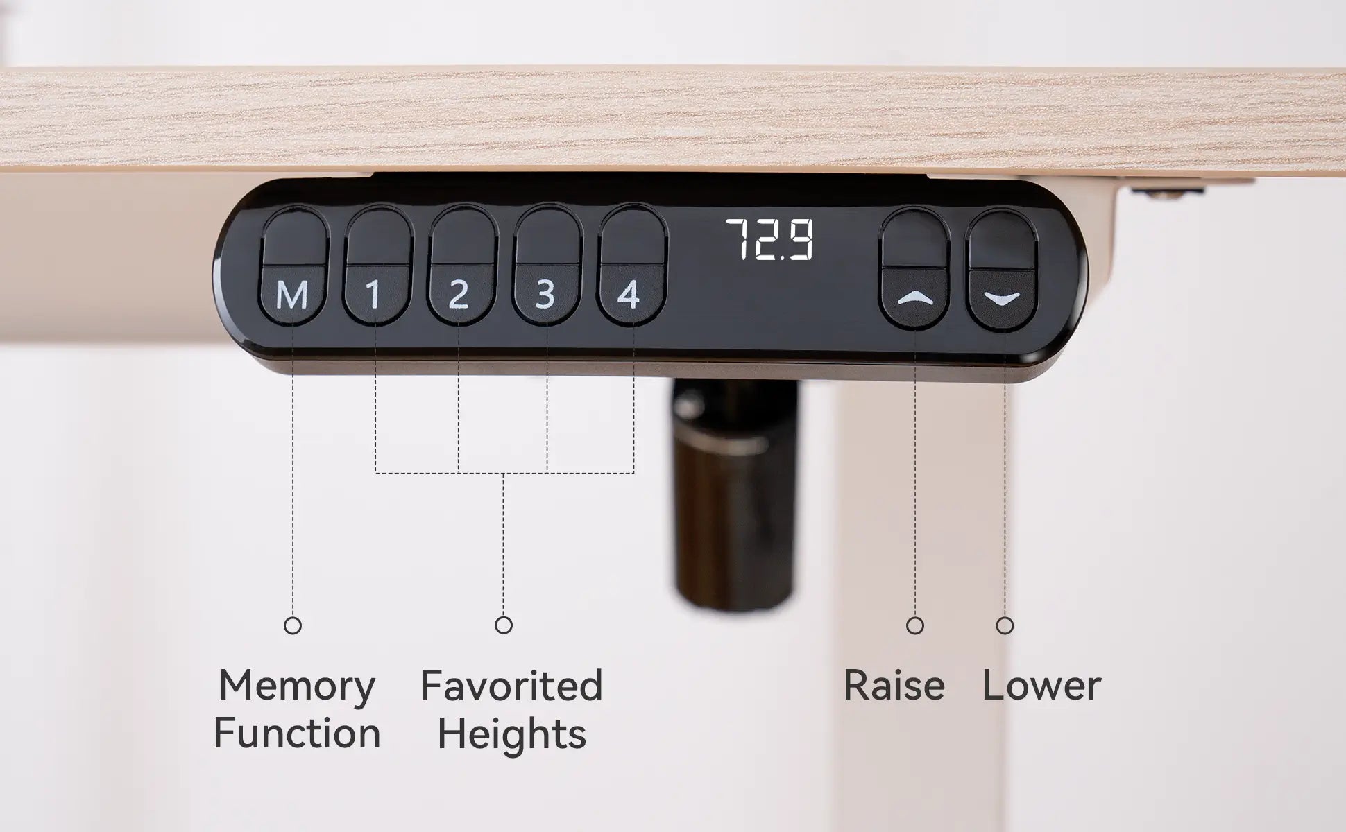 FR Sihoo Official Shop