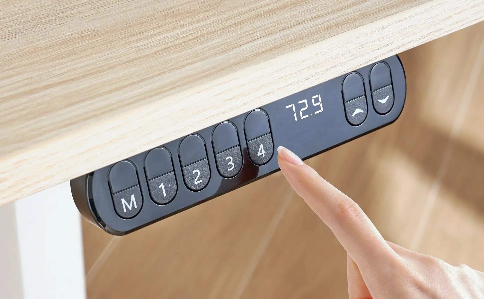 FR Sihoo Official Shop