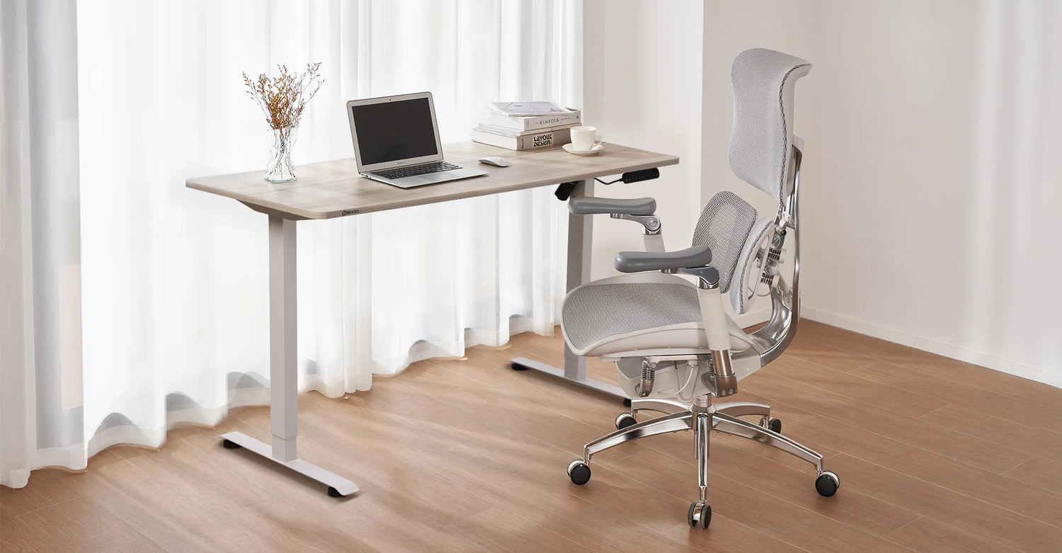 FR Sihoo Official Shop