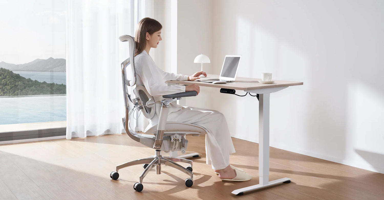 FR Sihoo Official Shop