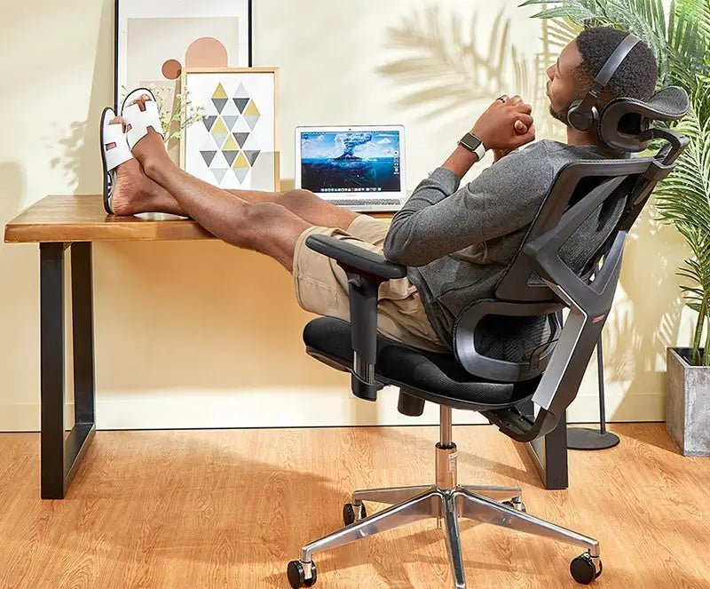 FR Sihoo Official Shop