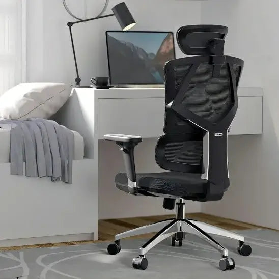 FR Sihoo Official Shop