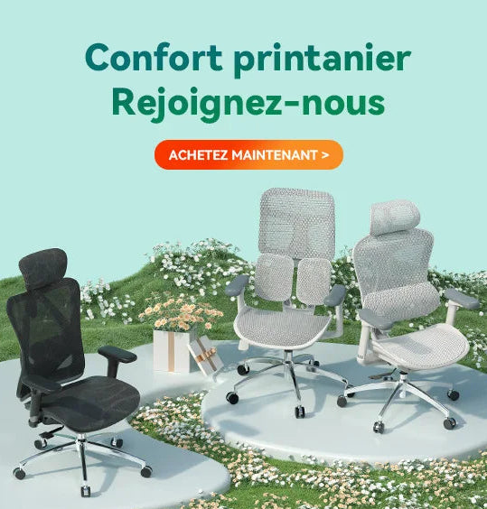 FR Sihoo Official Shop