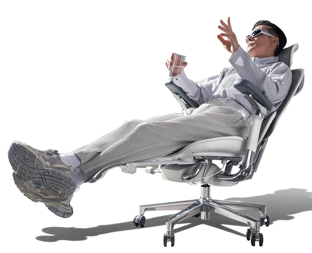 FR Sihoo Official Shop