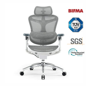 Doro C300 Pro Chaise de bureau ergonomique