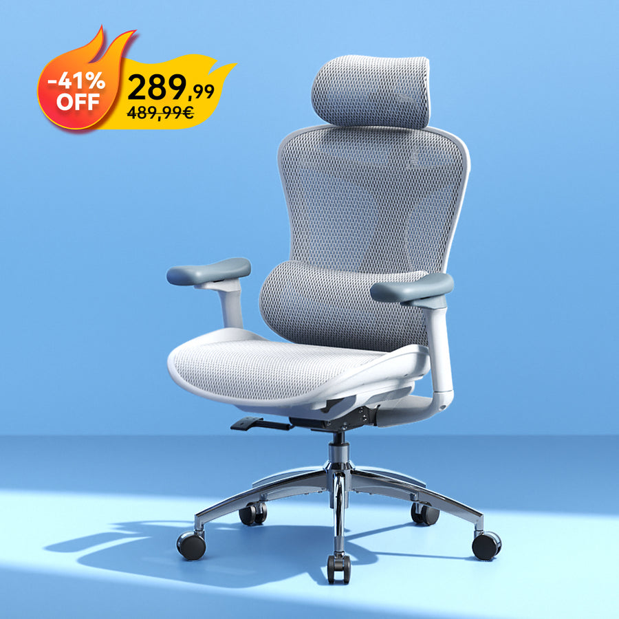 Doro C300 Chaise de bureau ergonomique